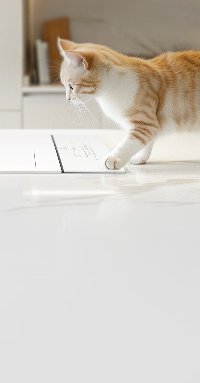 주방으로 보이는 공간에 고양이가 하얀색 전자기기 위에 앞발을 올리고 있습니다. 전자기기에는 power, start/pause, eco, speed, normal, heavy, rinse, dry라는 텍스트가 보입니다. 고양이는 주황색과 흰색 털을 가지고 있으며, 주변은 깔끔하고 밝은 분위기입니다.